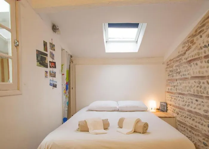 La Maison Du Merle: Le Charme En Centre-ville * Toulouse