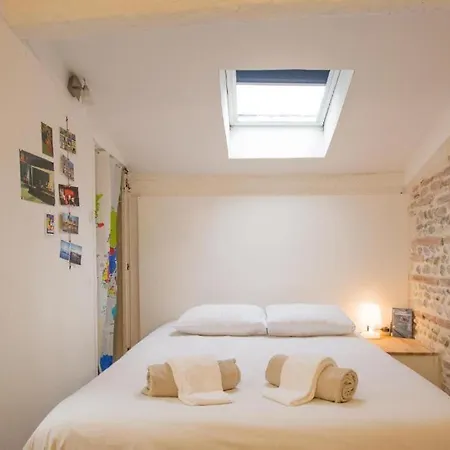 La Maison Du Merle: Le Charme En Centre-ville * Toulouse